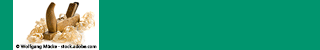 Werbegrafik